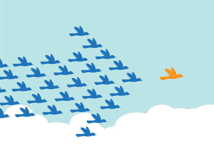 blue birds following golden bird